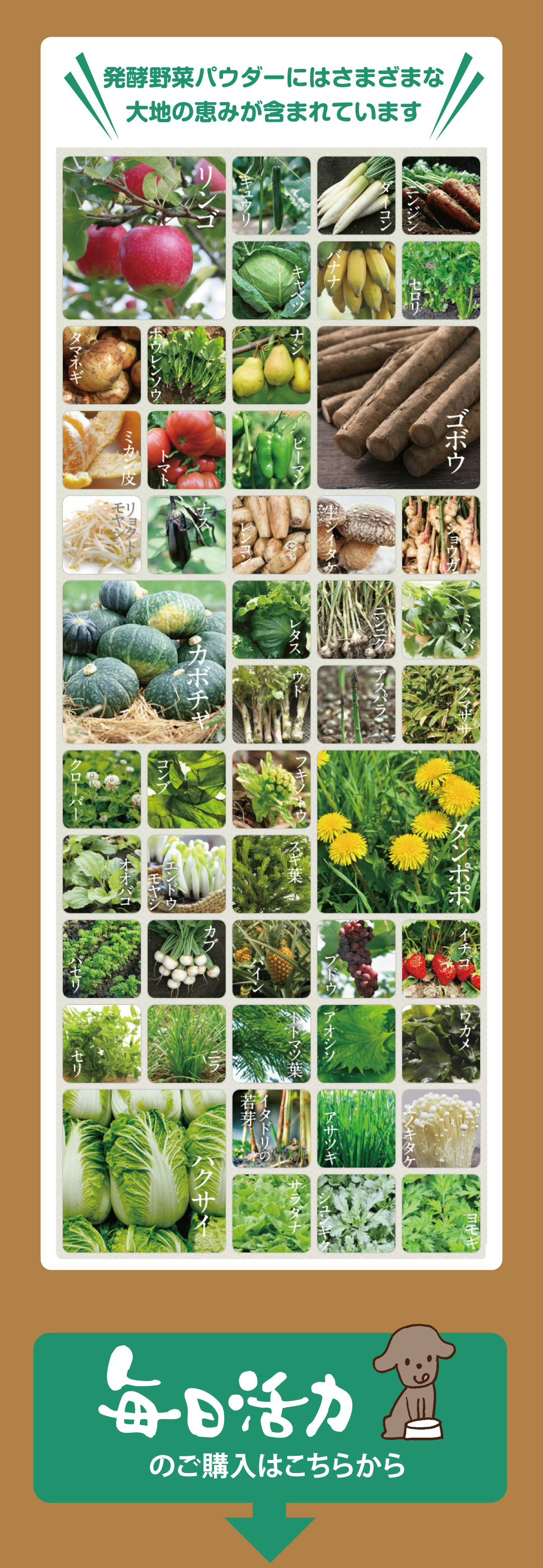 「ペット酵素　毎日活力」は国内産52種類の野菜などを発酵させてつくられた野菜パウダー。腸内環境をサポートすることで健康維持につながります